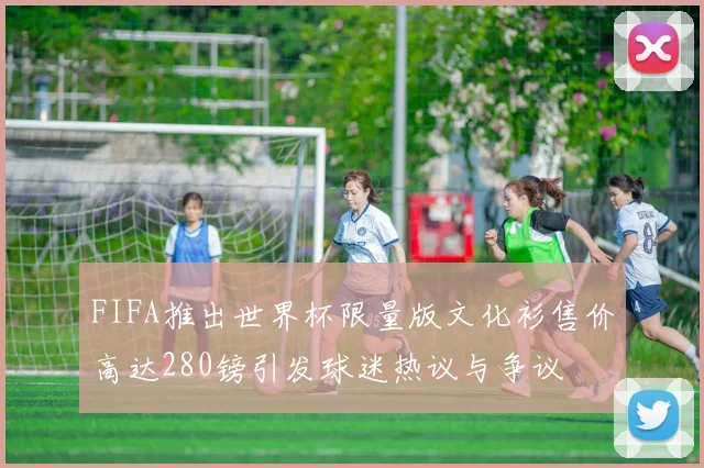 FIFA推出世界杯限量版文化衫售价高达280镑引发球迷热议与争议